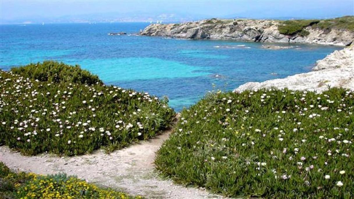 Villa Spacieuse, Climatisation, Piscine, Jardin Paysage, Proche Mer Saint-Cyr-sur-Mer Extérieur photo